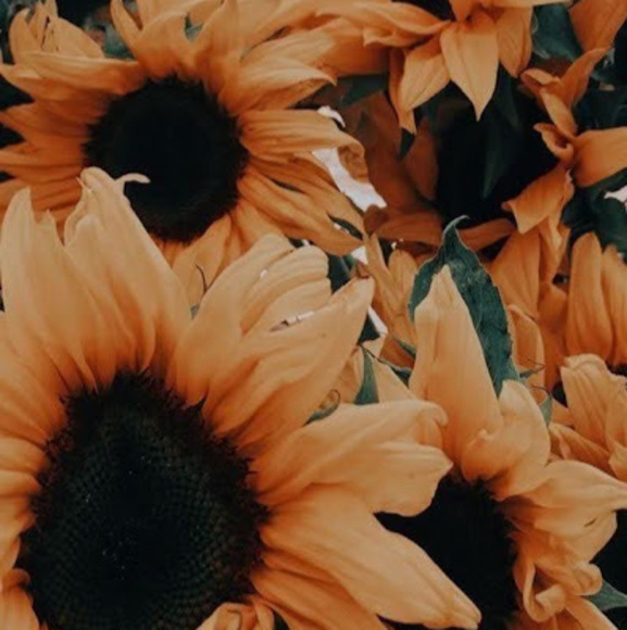 Meet the Posher Other - Meet your Posher, Kelly